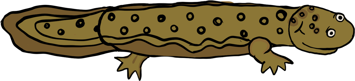 A drawing of a brown, spotted hellbender salamander
