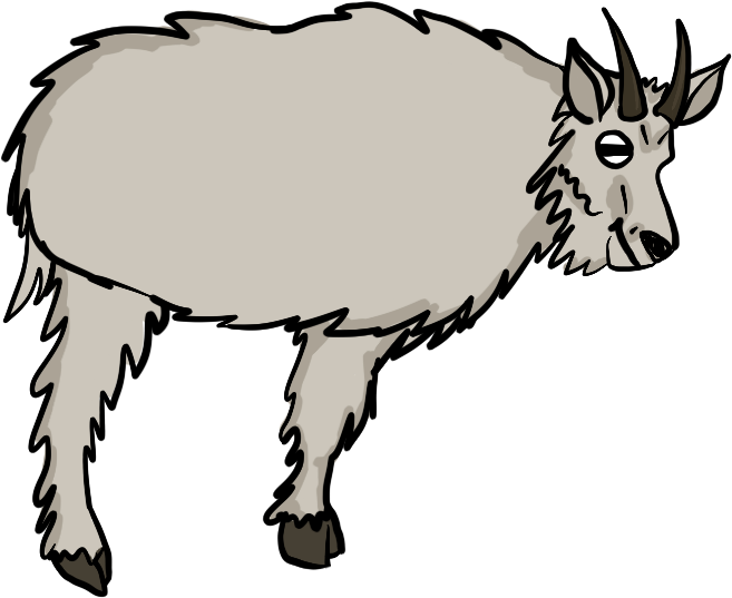A drawing of a shaggy white mountain goat with black horns